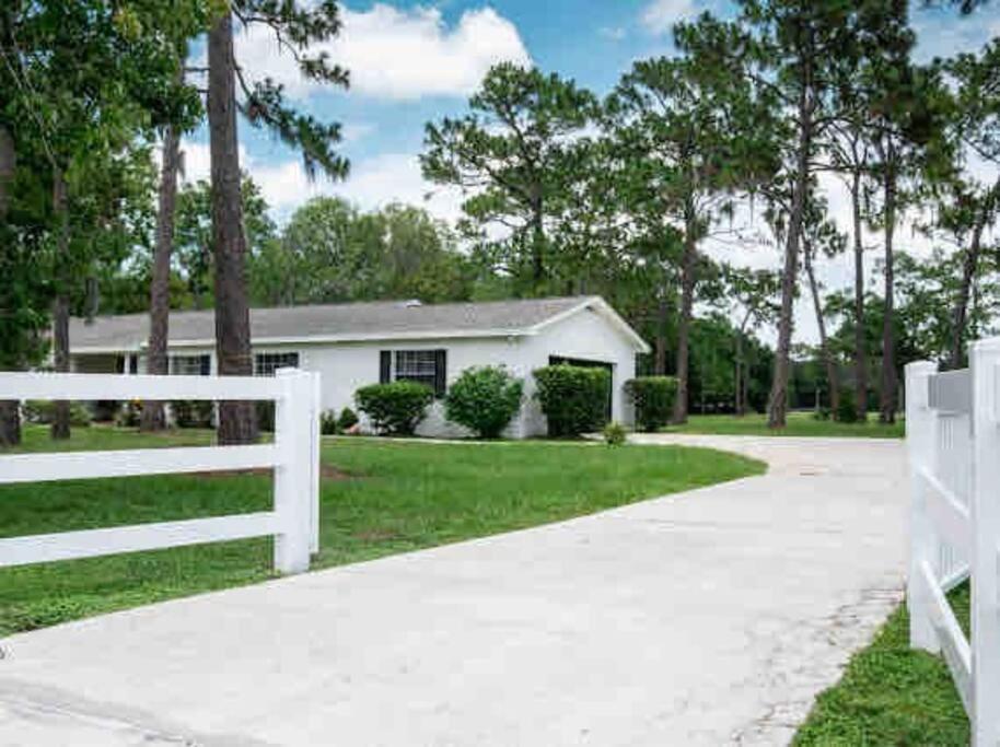 3Bdr2Bath Home In Lutz Close To Tampa, 20 Min To Stadium, Airport Ngoại thất bức ảnh